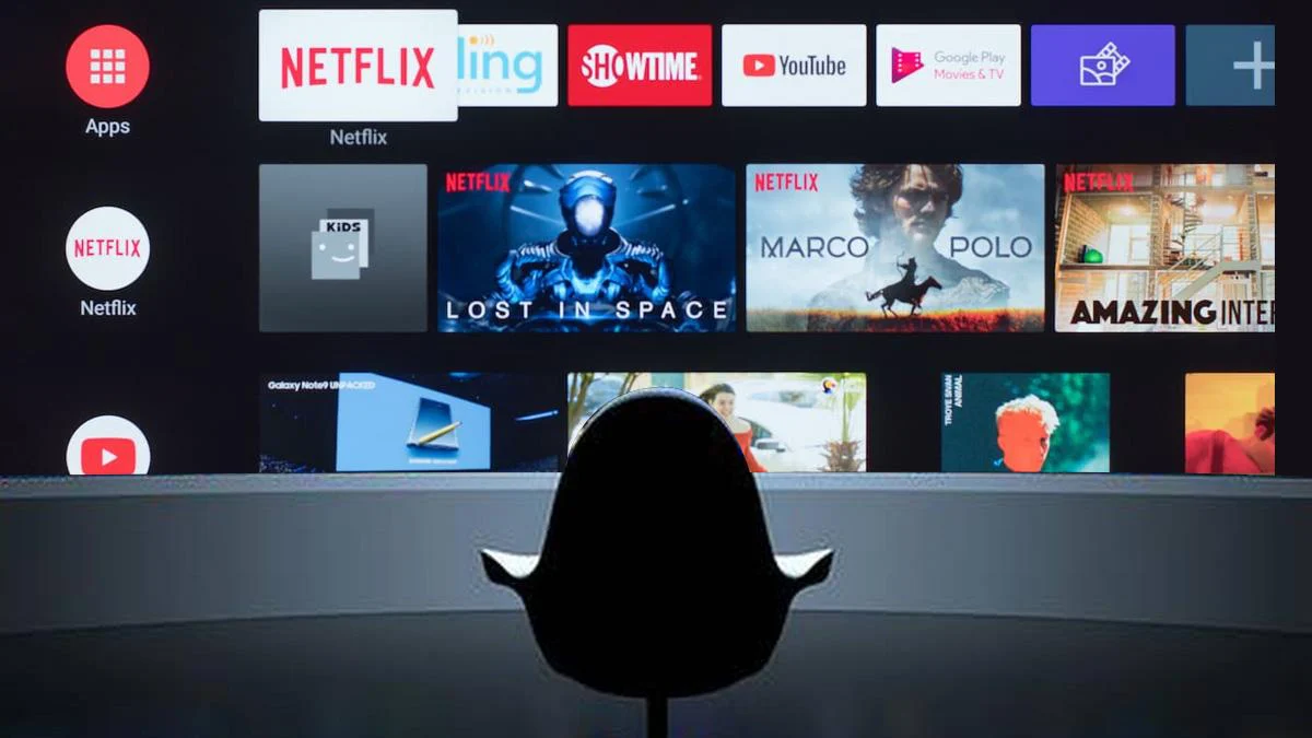“Pakistan Content Ban on OTT Platforms in India 2025”