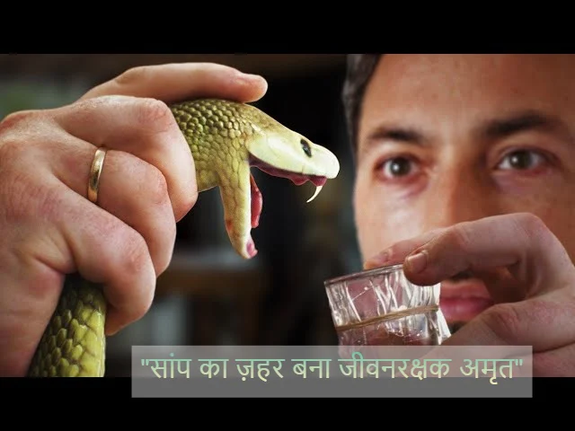 सांप का ज़हर बना जीवनरक्षक अमृत