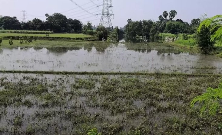 बिहार में 8 जून से शुरू होगा भूमि सर्वे